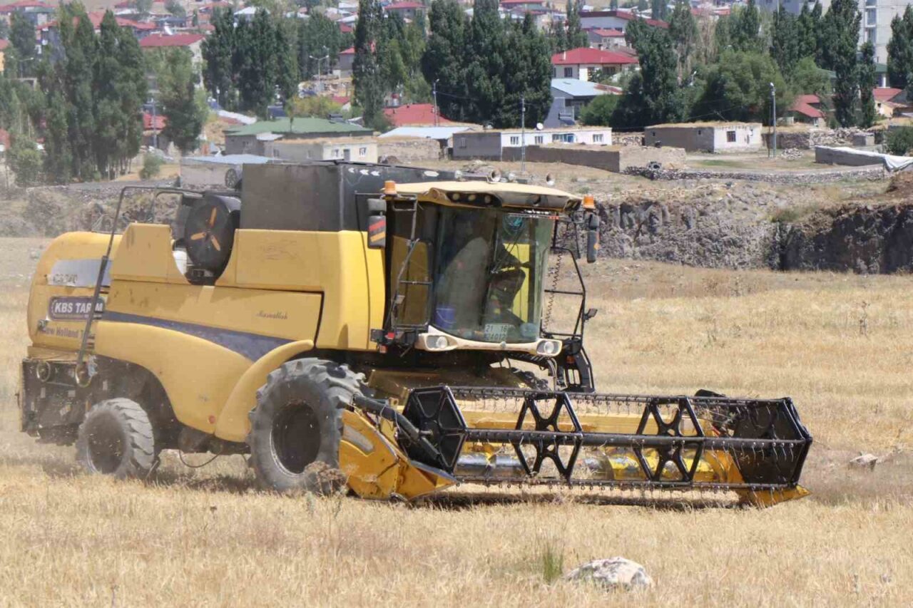 Ağrı’nın Diyadin ilçesinde yıl boyunca büyük emek verilerek ekilen buğday