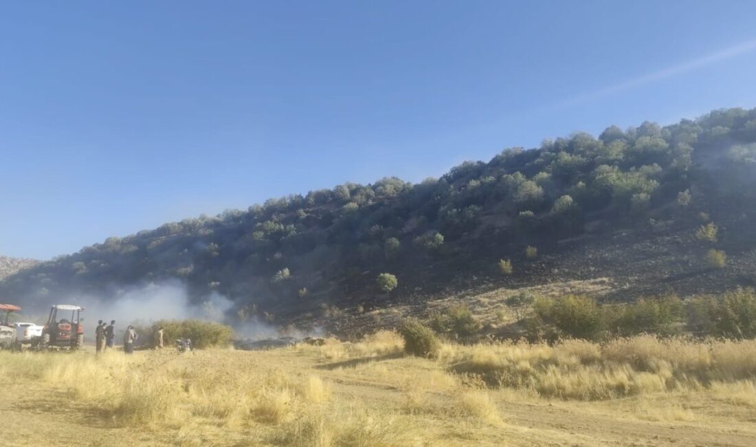 Diyarbakır’ın Hani ilçesinde çıkan anız yangını ormanlık alana sıçradı. Alevler,