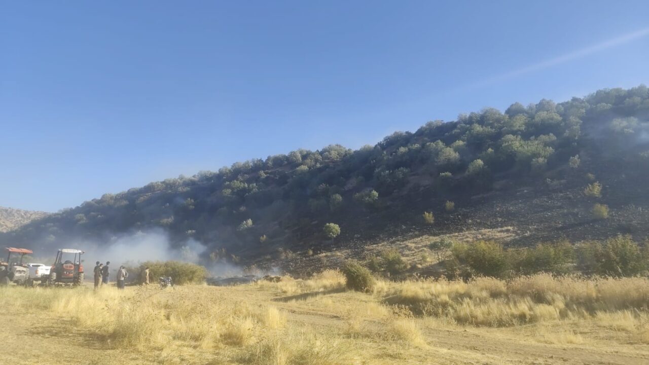 Diyarbakır’ın Hani ilçesinde çıkan anız yangını ormanlık alana sıçradı. Alevler,