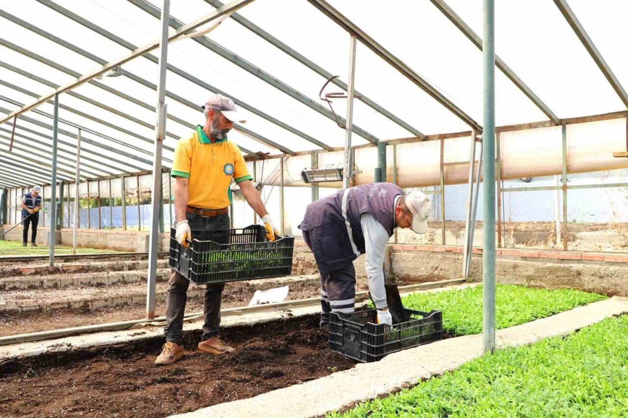 Diyarbakır Büyükşehir Belediyesi, renk çeşitliliği, dayanıklılığı, uzun süre toprakta kalması
