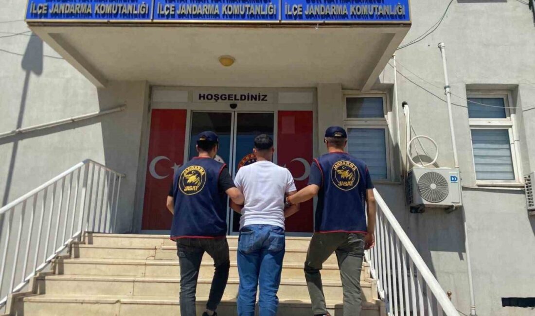 Diyarbakır’da jandarma ekiplerince düzenlenen operasyonlarda haklarında kesinleşmiş hapsi cezası bulunan