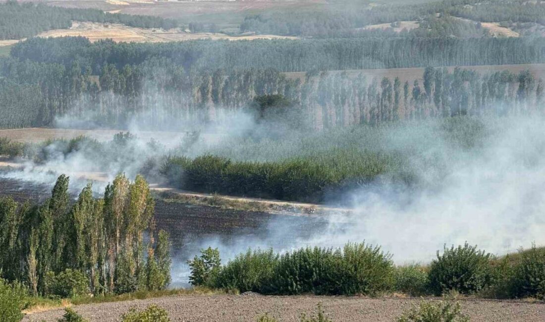 Diyarbakır’da Hevsel Bahçelerinde mısır tarlasında çıkan anız yangını, itfaiye ekiplerince