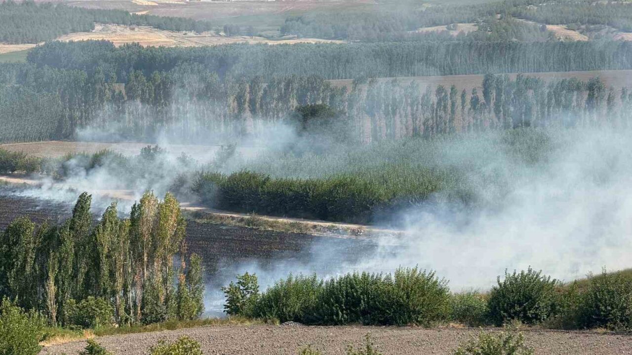 Diyarbakır’da Hevsel Bahçelerinde mısır tarlasında çıkan anız yangını, itfaiye ekiplerince