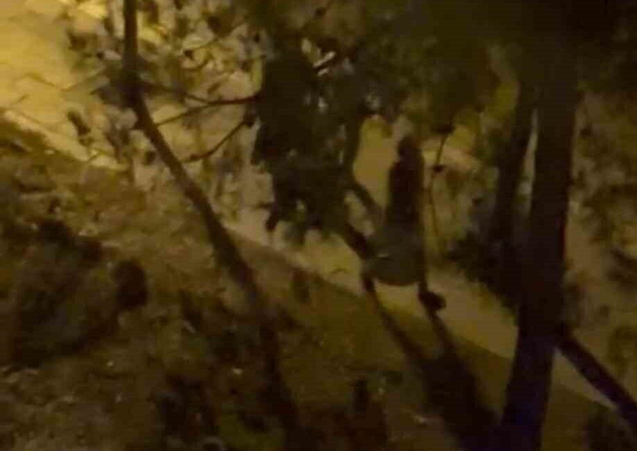 Diyarbakır’da dün gece saatlerinde husumetli iki grup arasında çıkan silahlı