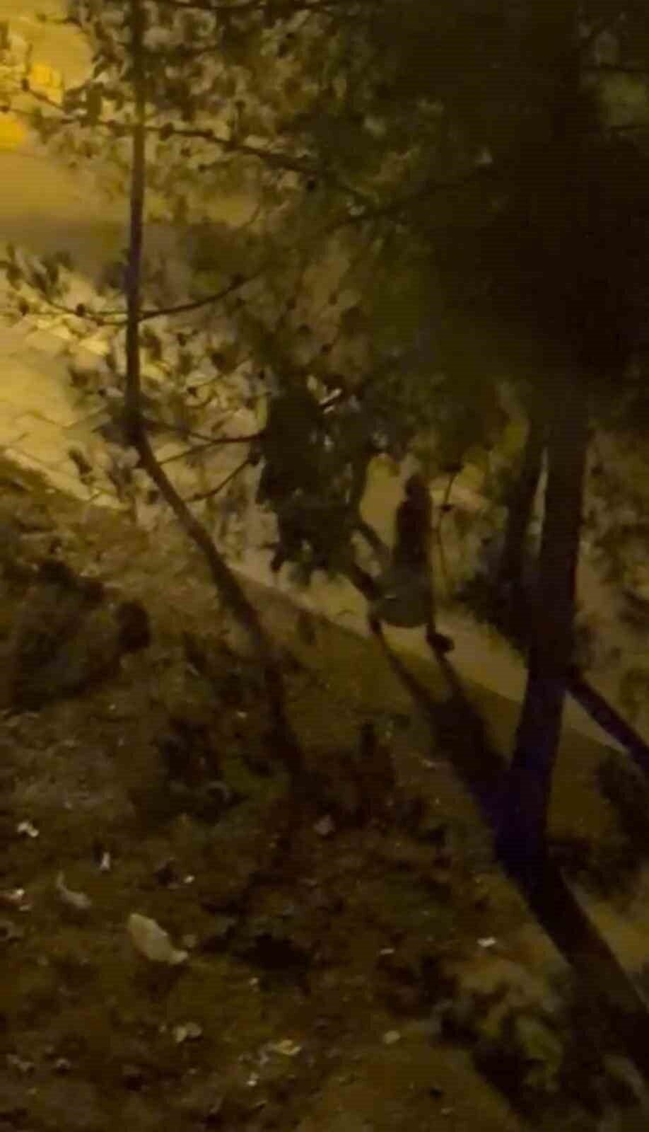 Diyarbakır’da dün gece saatlerinde husumetli iki grup arasında çıkan silahlı