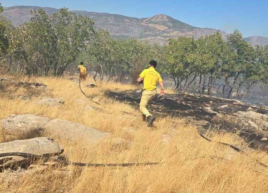 Diyarbakır’ın Dicle ilçesinde orman ve örtü yangını çıktı. Yangın, ekiplerin