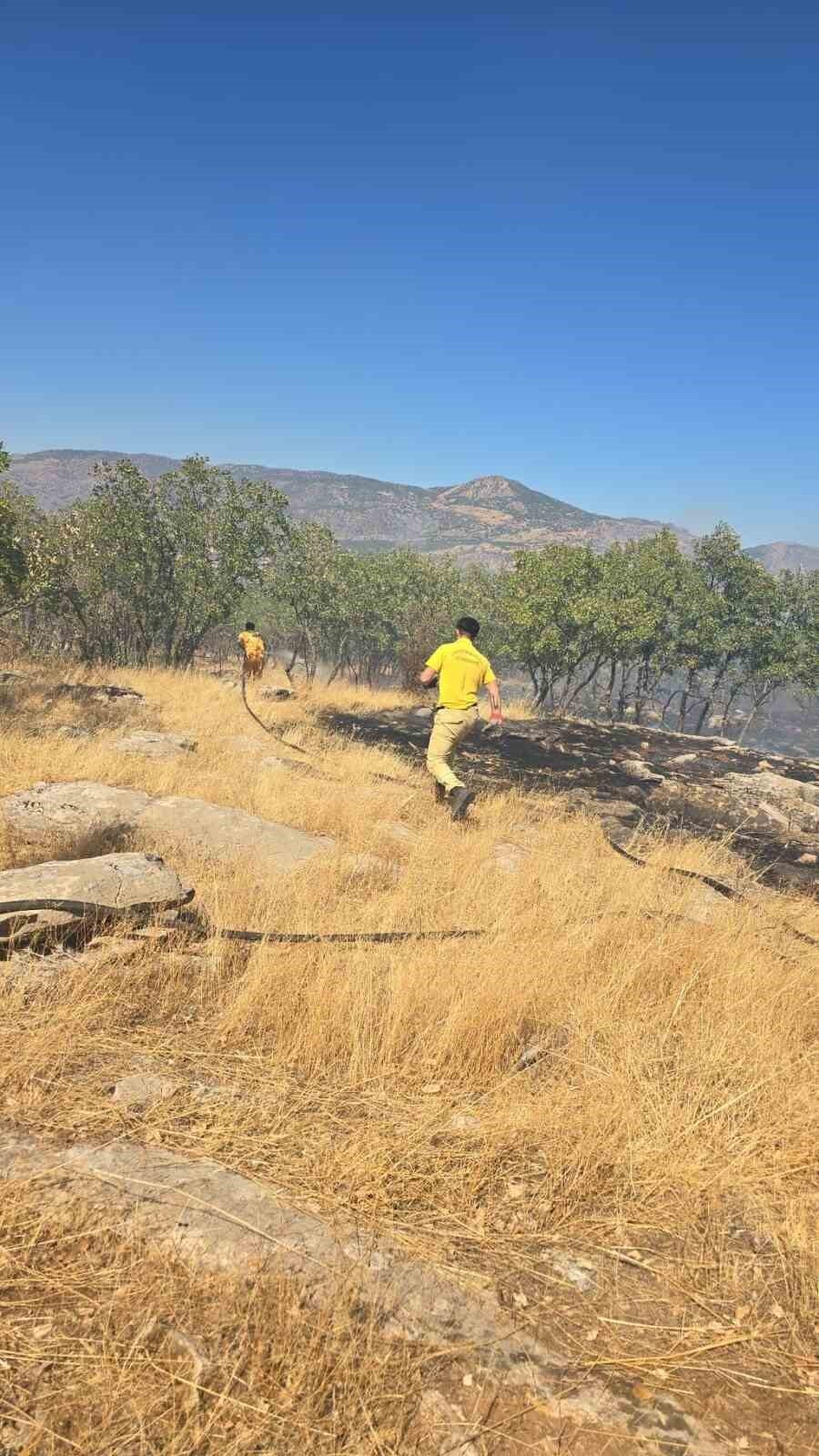 Diyarbakır’ın Dicle ilçesinde orman ve örtü yangını çıktı. Yangın, ekiplerin