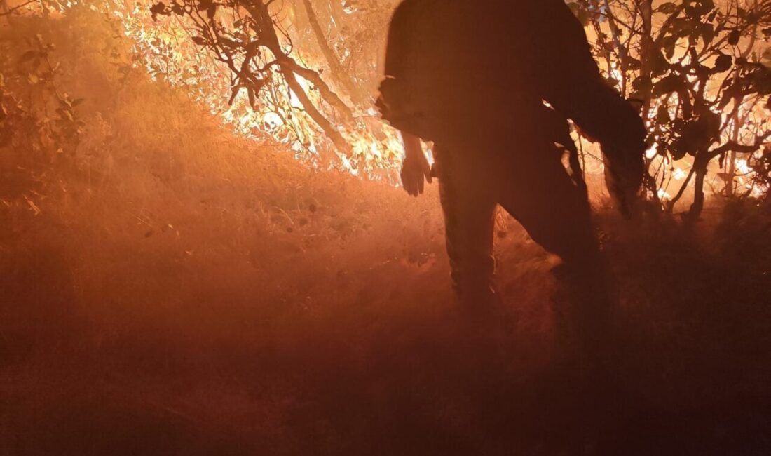 Diyarbakır’ın Silvan ilçesinde meydana gelen orman yangınına havadan ve karadan