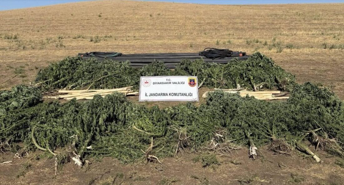 Diyarbakır’da jandarma ekiplerince düzenlenen operasyonlarda çok kilolarca uyuşturucu madde ele