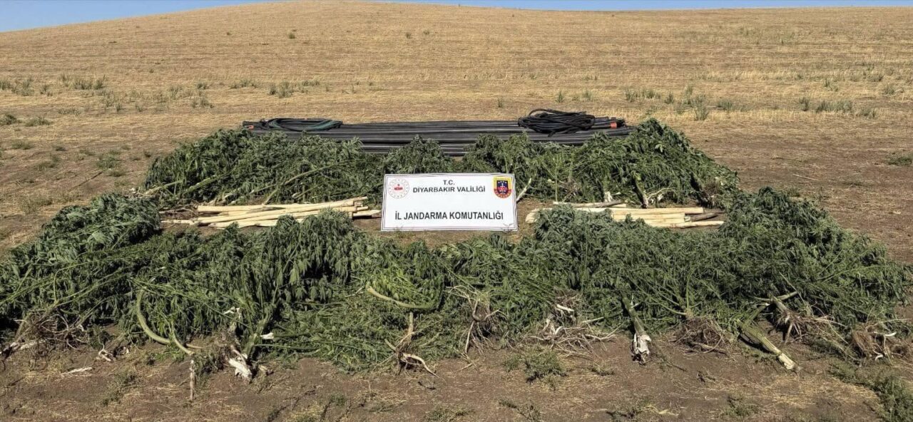 Diyarbakır’da jandarma ekiplerince düzenlenen operasyonlarda çok kilolarca uyuşturucu madde ele