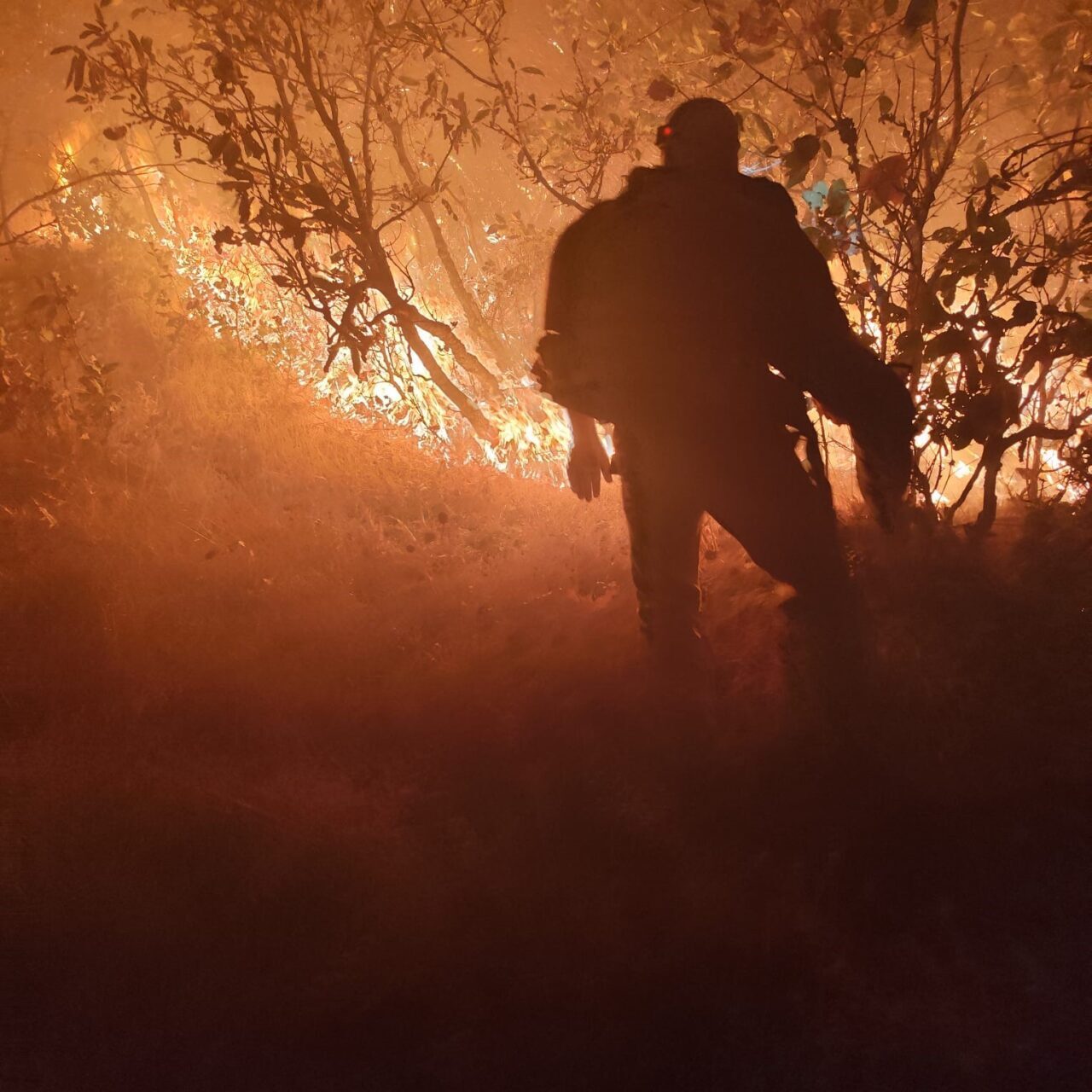 Diyarbakır’ın Silvan ilçesinde çıkan orman yangını, havadan ve karadan müdahalelerin