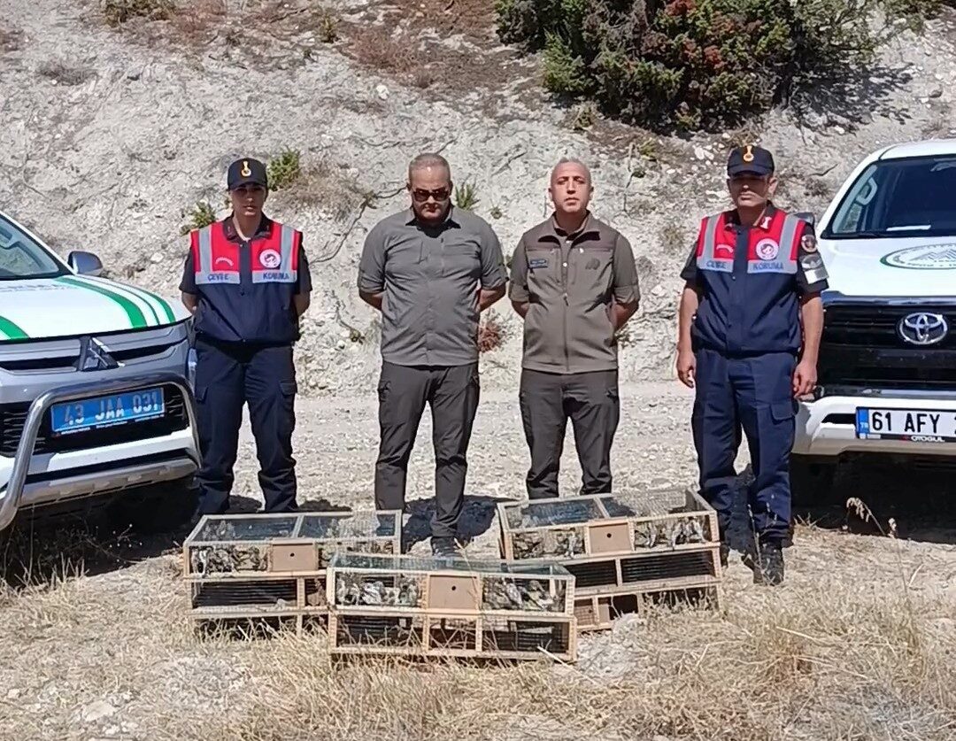 Afyonkarahisar DKMP ekipleri bir şahıs tarafından izinsiz yakalanan 142 saka