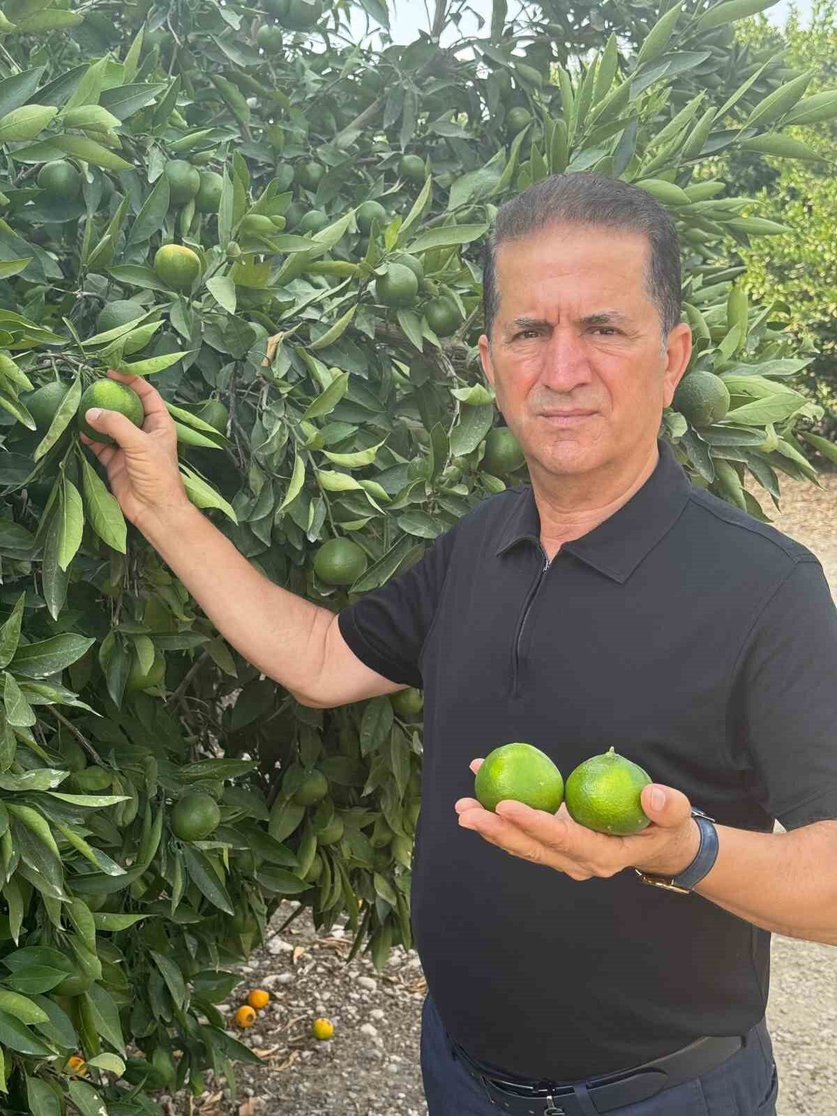 Adana Yüreğir Ziraat Odası Başkanı Mehmet Akın Doğan, bu yıl