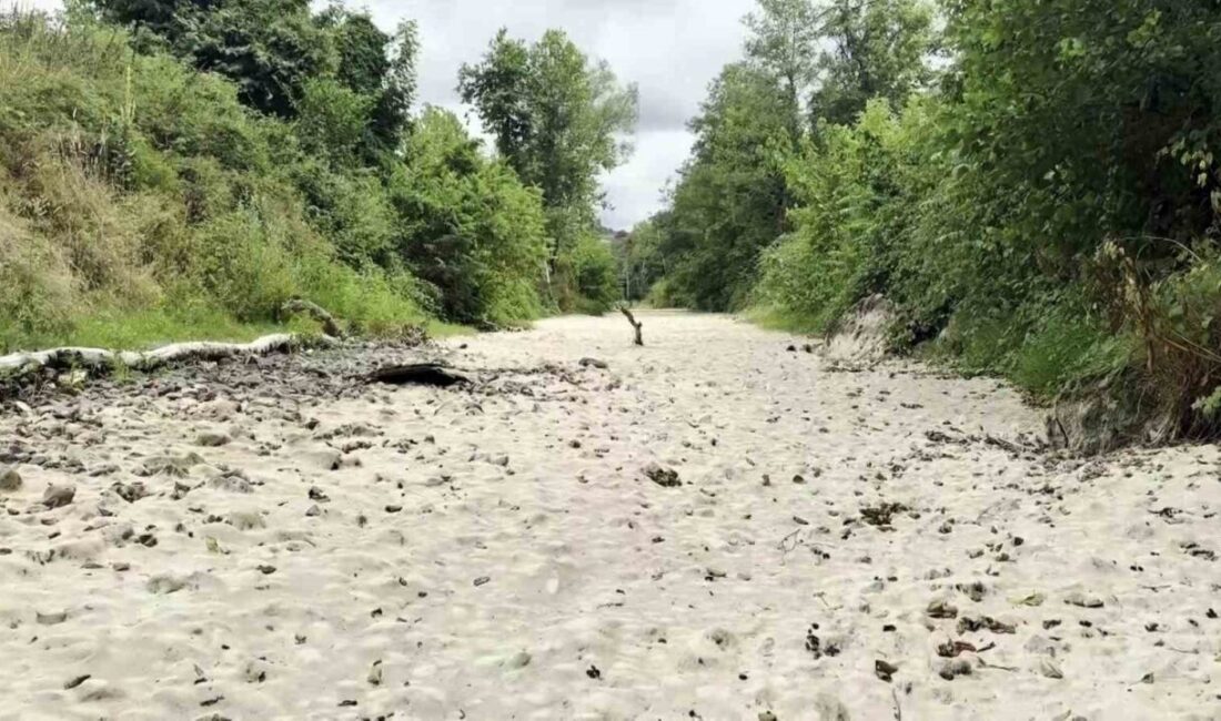Sakarya’nın Karasu ve Kocaali ilçeleri arasında, doğa turizminin gözde rotalarından