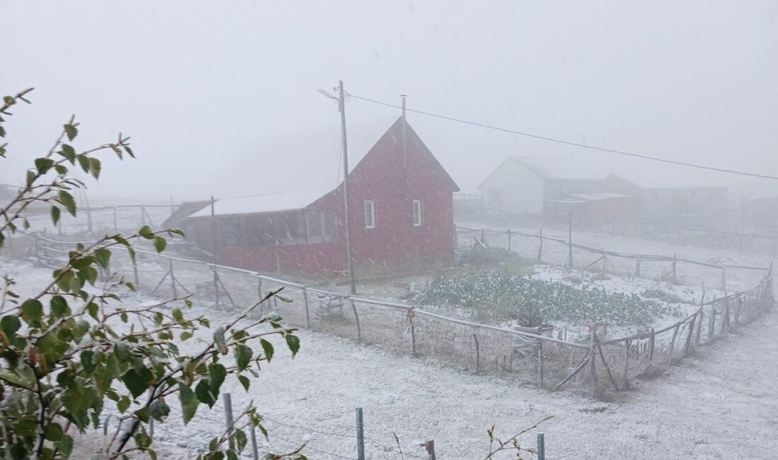 Doğu Karadeniz Bölgesi’nde 2 gündür sahil ve iç kesimlerde etkili