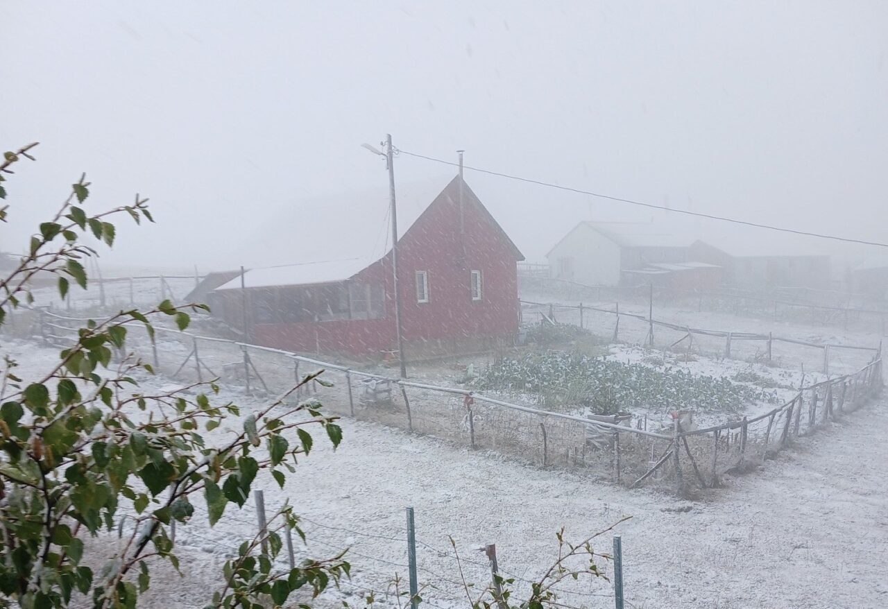 Doğu Karadeniz Bölgesi’nde 2 gündür sahil ve iç kesimlerde etkili