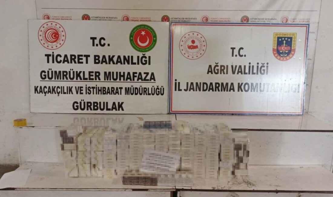 Ağrı’nın Doğubayazıt ilçesinde, Gürbulak Sınır Kapısı’nda bir tırın dorsesinde 4