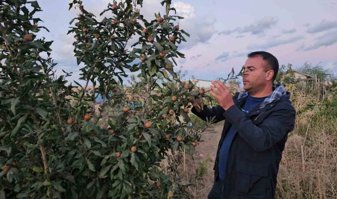 Bitlis’in Tatvan ilçesinde yaşayan Mehmet Okay, evinin bahçesinde sıcak ve