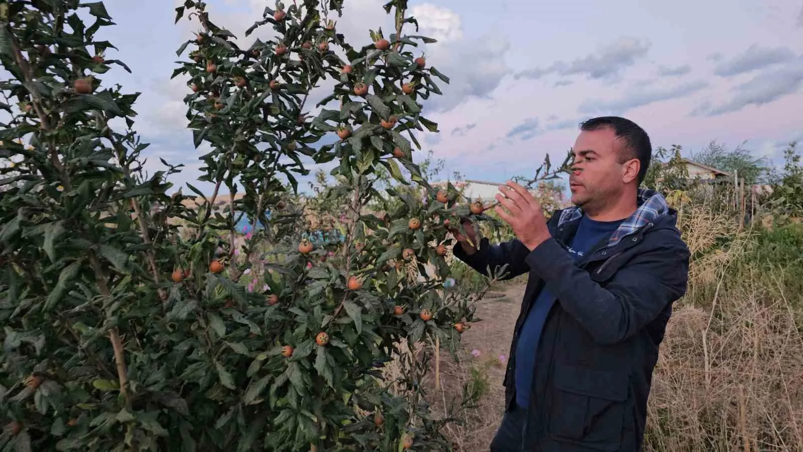 Bitlis’in Tatvan ilçesinde yaşayan Mehmet Okay, evinin bahçesinde sıcak ve