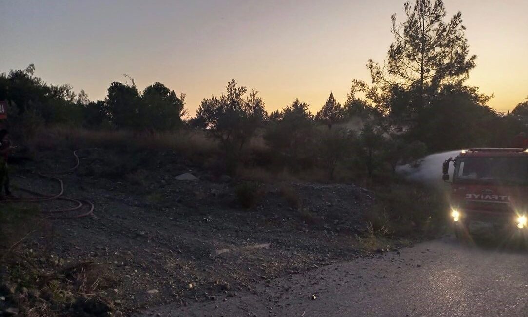 Hatay’da çıkan orman yangını büyümeden kontrol altına alındı. Yangın, Dörtyol