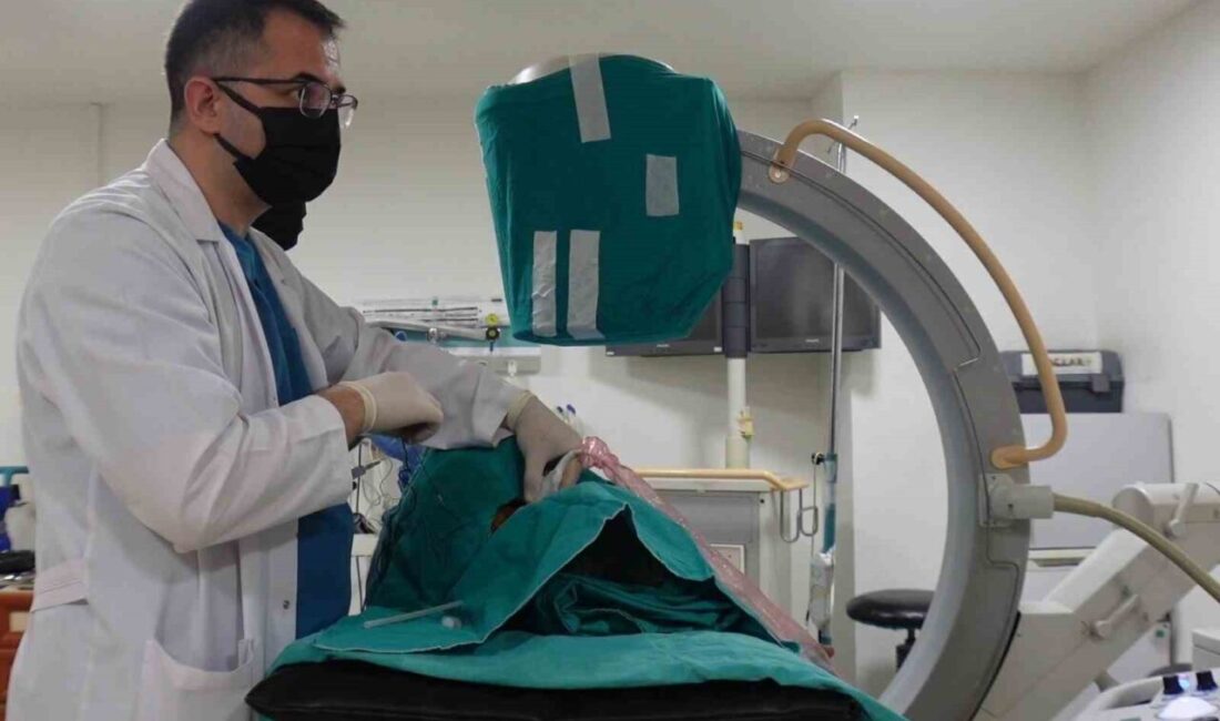 Algoloji tedavisi hakkında bilgi veren Dr. Mustafa Özdemir, “Algoloji tedavisinin