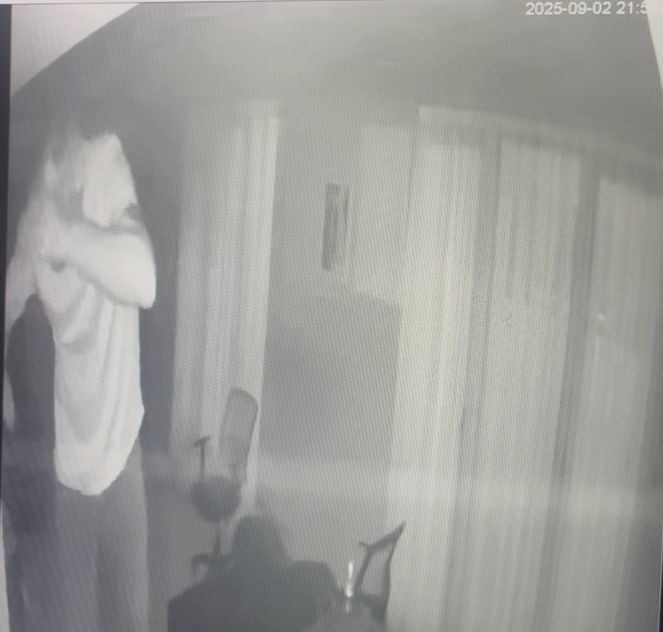 Bursa’nın Osmangazi ilçesinde bir düğün salonuna giren hırsız, güvenlik kameralarının