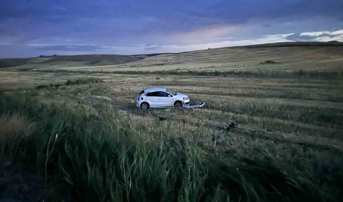 Çorum’un Alaca ilçesinde yoldan çıkarak tarlaya uçan otomobildeki 1 kişi