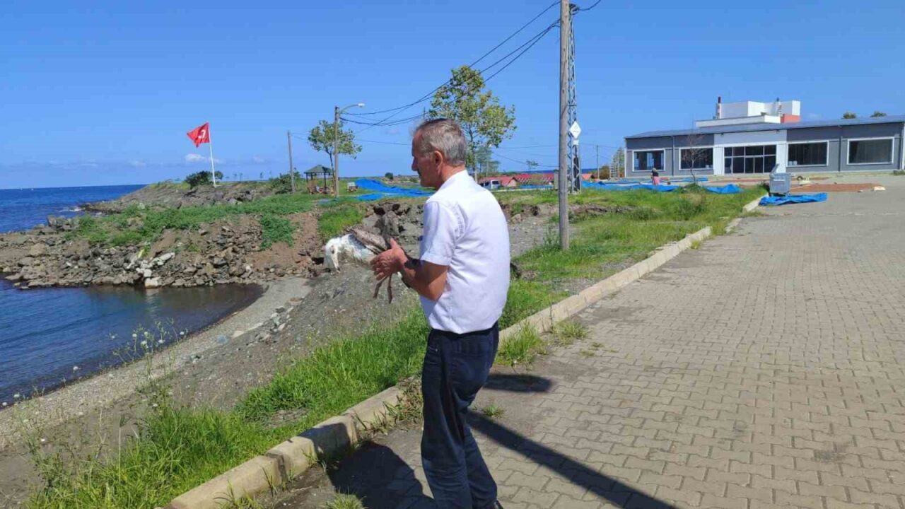 Giresun’un Görele ilçesine bağlı Çavuşlu beldesinde ayağına misina ipi dolanan