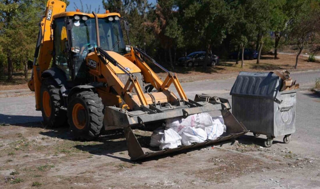 Düzce Belediyesi tarafından ‘Temiz Şehir Düzce’ sloganı altında başlatılan çalışmalar