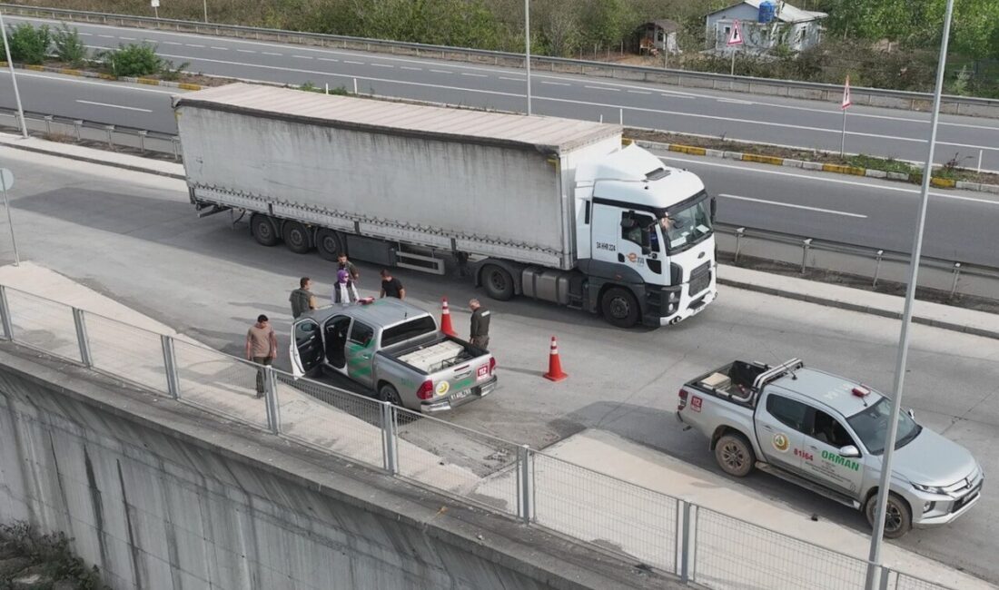 DÜZCE(İHA) – Bolu Orman Genel Müdürlüğü tarafından Düzce ve Bolu