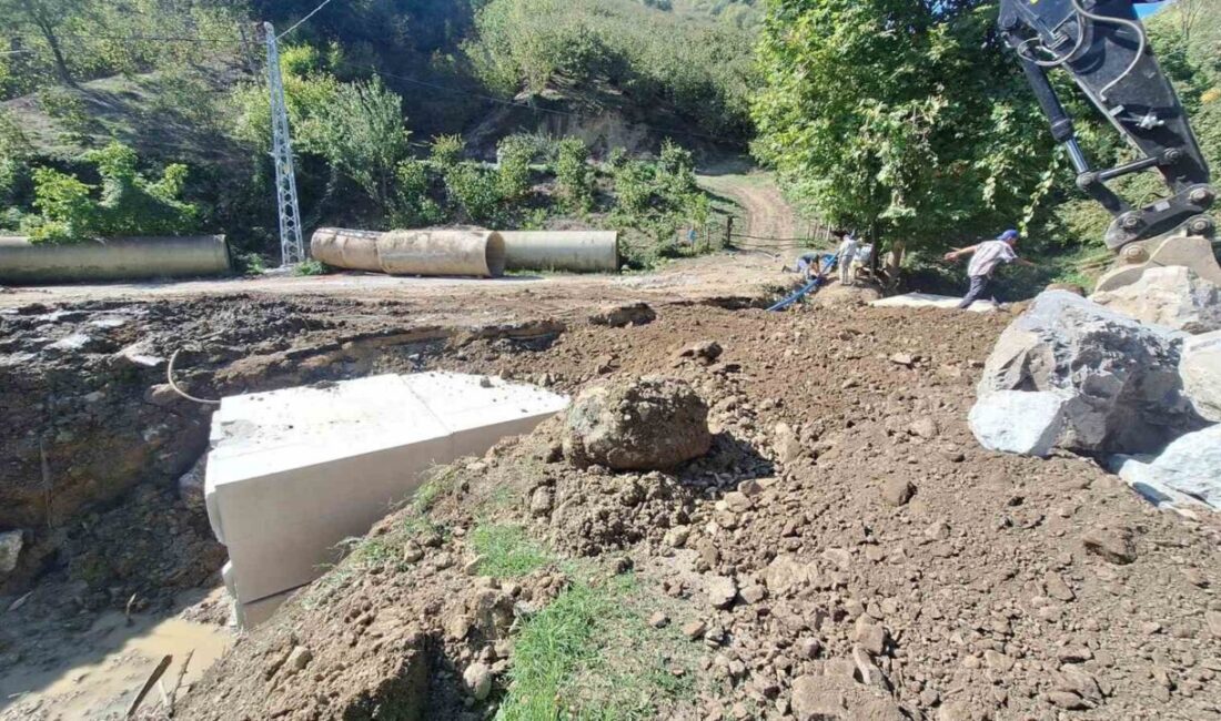 DÜZCE (İHA) – Düzce İl Özel İdaresi, kent genelindeki köylerde