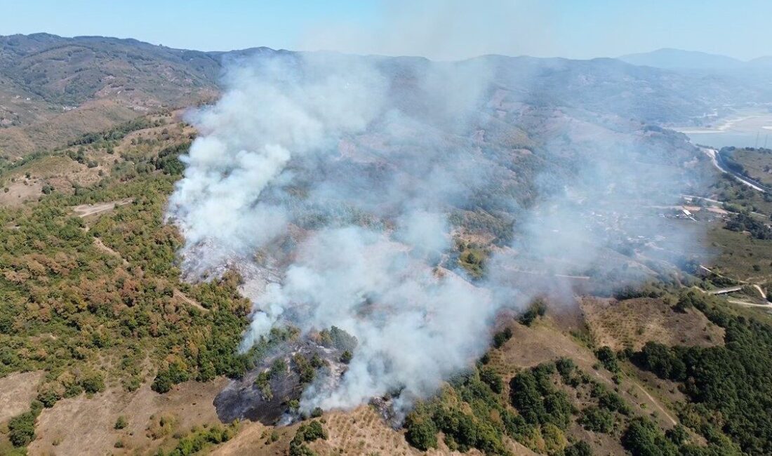 Düzce’de fındıklıkta başlayan anız yangını rüzgarın etkisi ile ormana sıçradı.