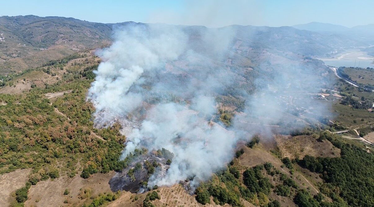 Düzce’de fındıklıkta başlayan anız yangını rüzgarın etkisi ile ormana sıçradı.