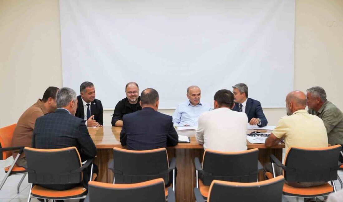 Düzce’de sokak hayvanları için yürütülen çalışmalar kapsamında, toplama ve kısırlaştırma