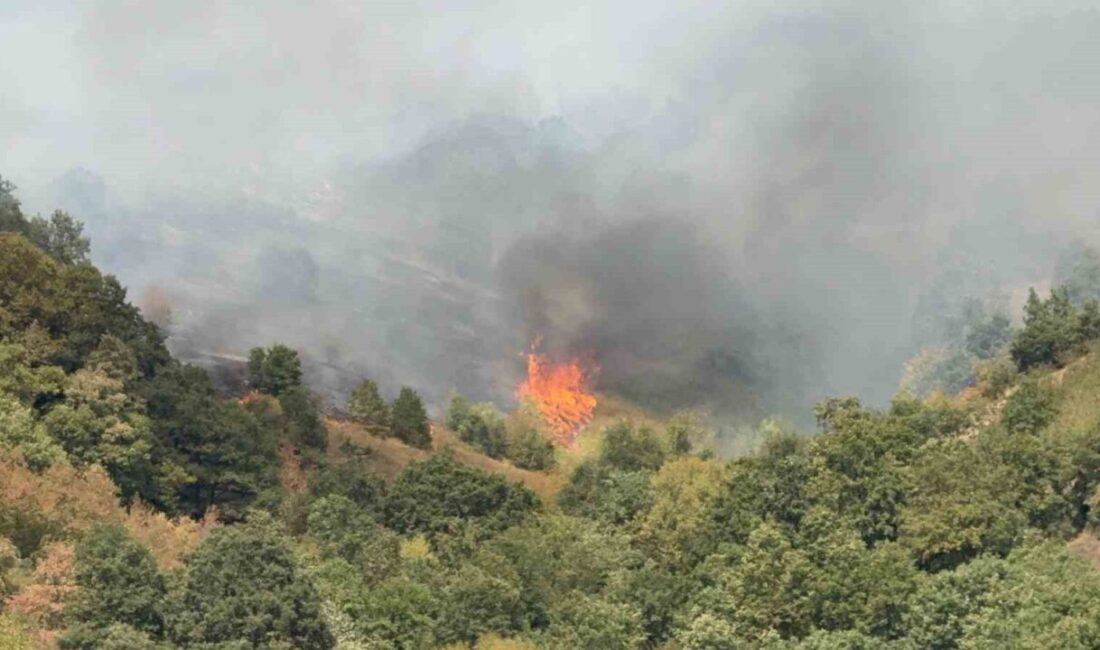 DÜZCE(İHA) – Düzce Merkeze bağlı Esençam köyünde meydana gelen ormanı