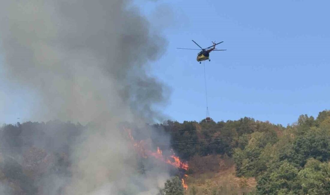 Düzce’de otluk arazide çıkıp ormanlık alana yayılan yangına 1 helikopter