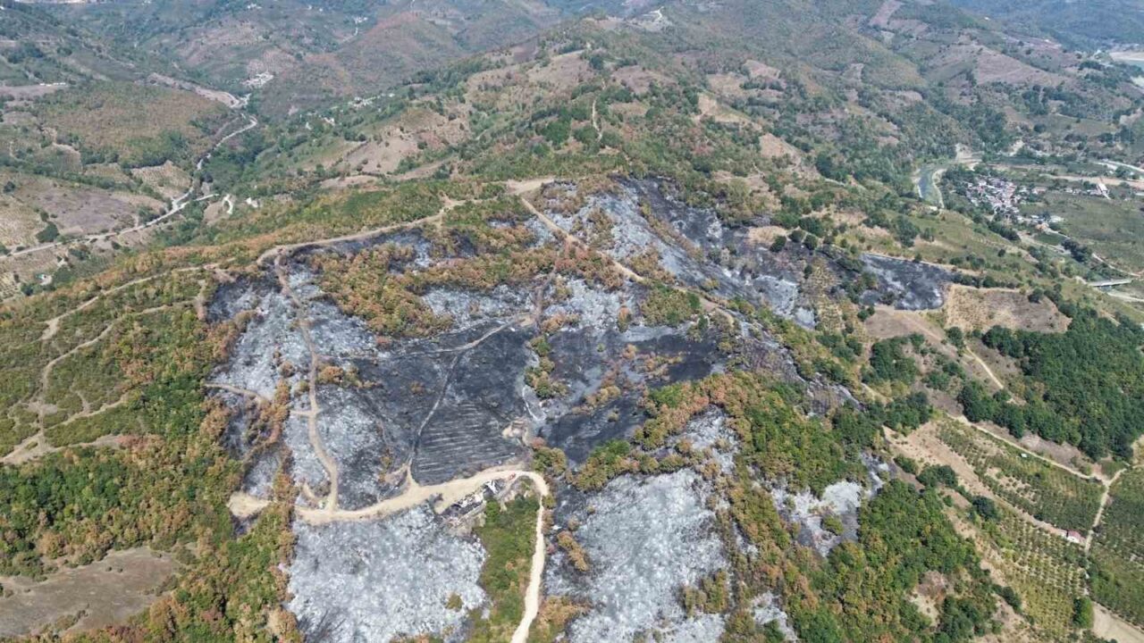 Düzce’de ormanlık alanda dün başlayıp 9 saatte kontrol altına alınan