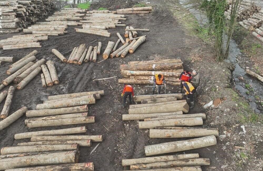 DÜZCE(İHA) – Düzce’nin orman ürünleri üretiminin arttırılması için çalışmaları sürürken