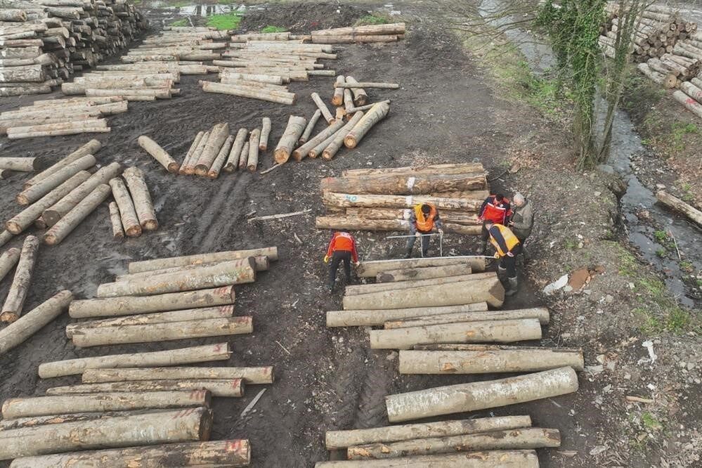 DÜZCE(İHA) – Düzce’nin orman ürünleri üretiminin arttırılması için çalışmaları sürürken