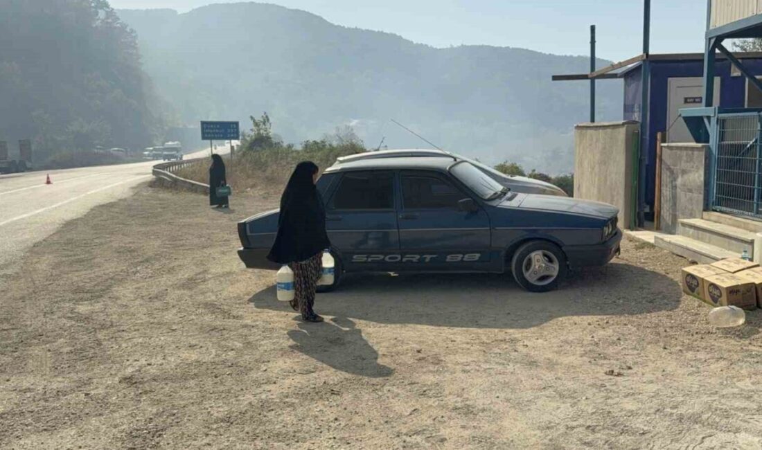 Düzceliler, orman yangınına müdahale eden personellere su, maske, ayran ve