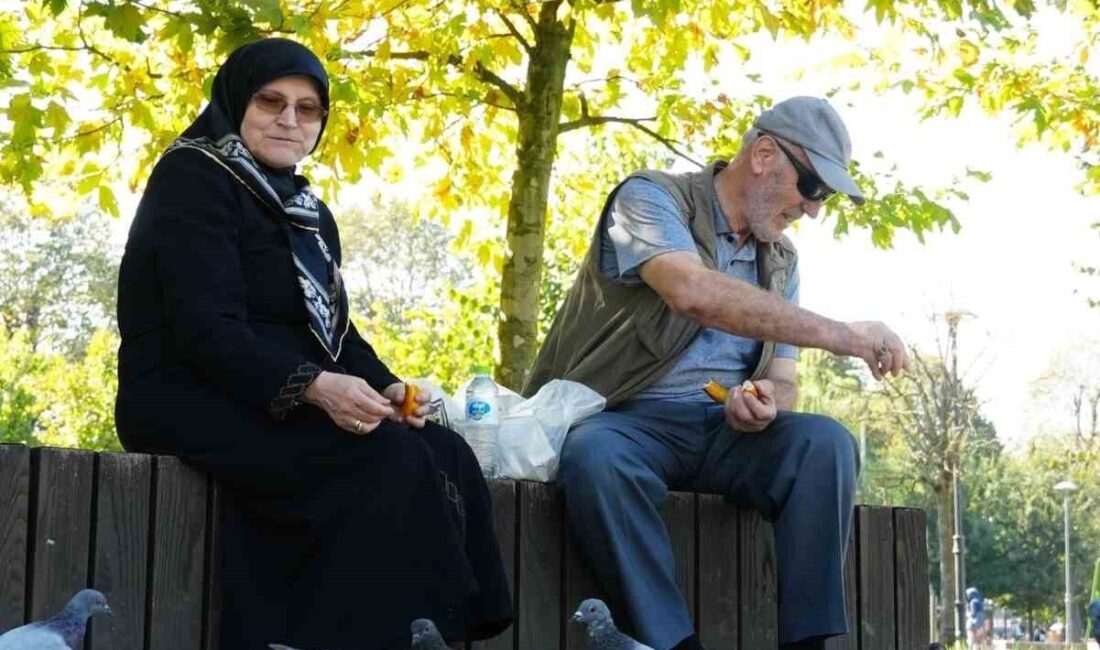 Düzce’de son günlerde soğuk hava dalgası yerine sıcak havaya bırakınca