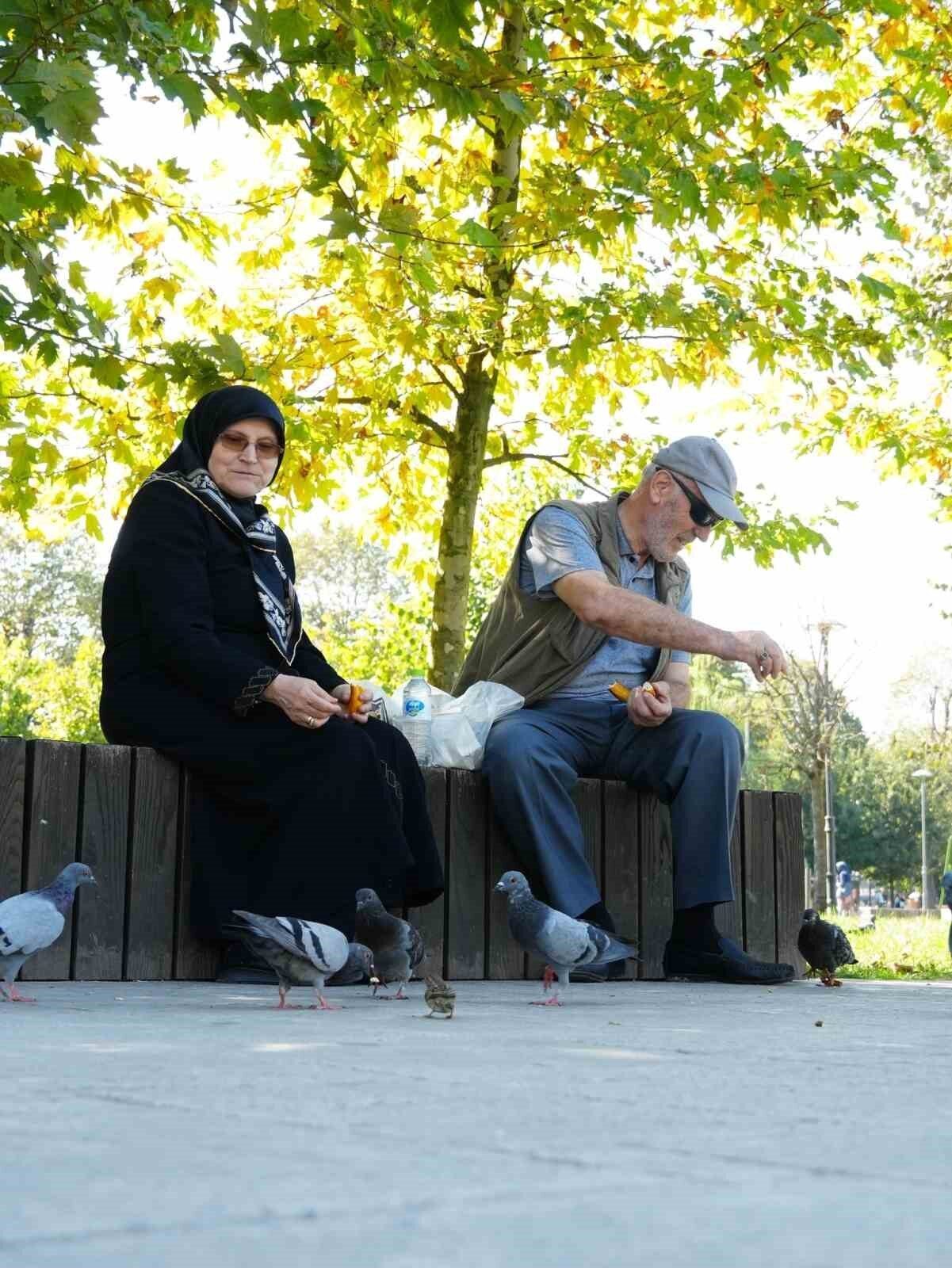 Düzce’de son günlerde soğuk hava dalgası yerine sıcak havaya bırakınca