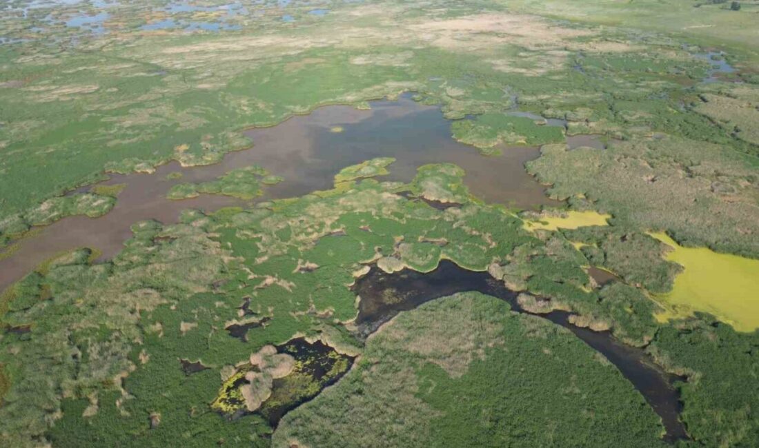 Afyonkarahisar Valiliği’nden yapılan açıklamada kuraklık ve yangınlar ile gündeme gelen