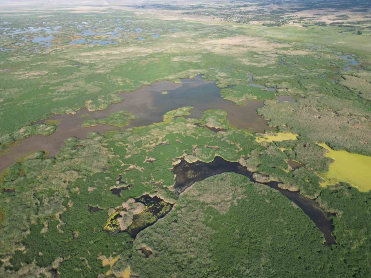Afyonkarahisar Valiliği’nden yapılan açıklamada kuraklık ve yangınlar ile gündeme gelen