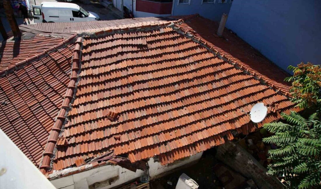 Edirne’de çöplerle dolu olan bir evin bahçesindeki sıçan ve farelerin