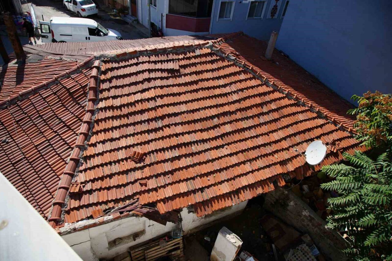 Edirne’de çöplerle dolu olan bir evin bahçesindeki sıçan ve farelerin