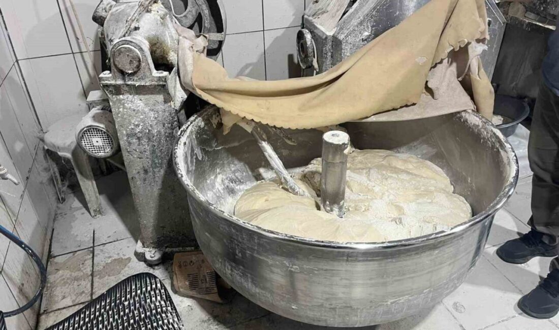 Edirne’nin Uzunköprü ilçesine bağlı Hamidiye köyünde, Cumhurbaşkanlığı İletişim Merkezi’ne (CİMER)