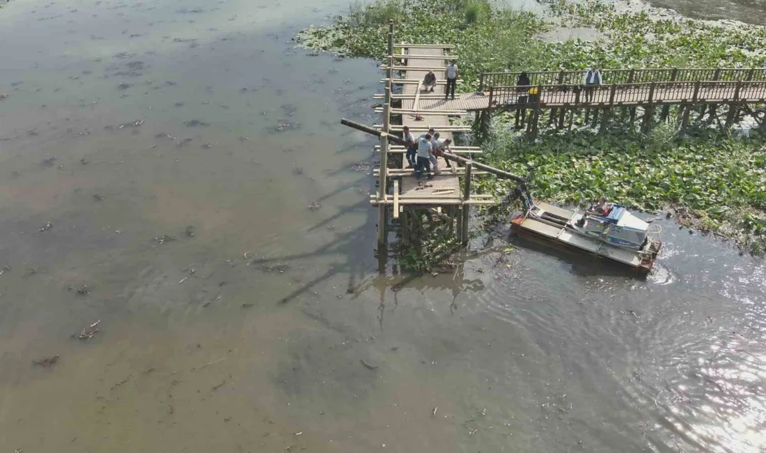 Düzce (İHA) – Düzce’nin Gölyaka İlçesi sınırları içinde bulunan Efteni