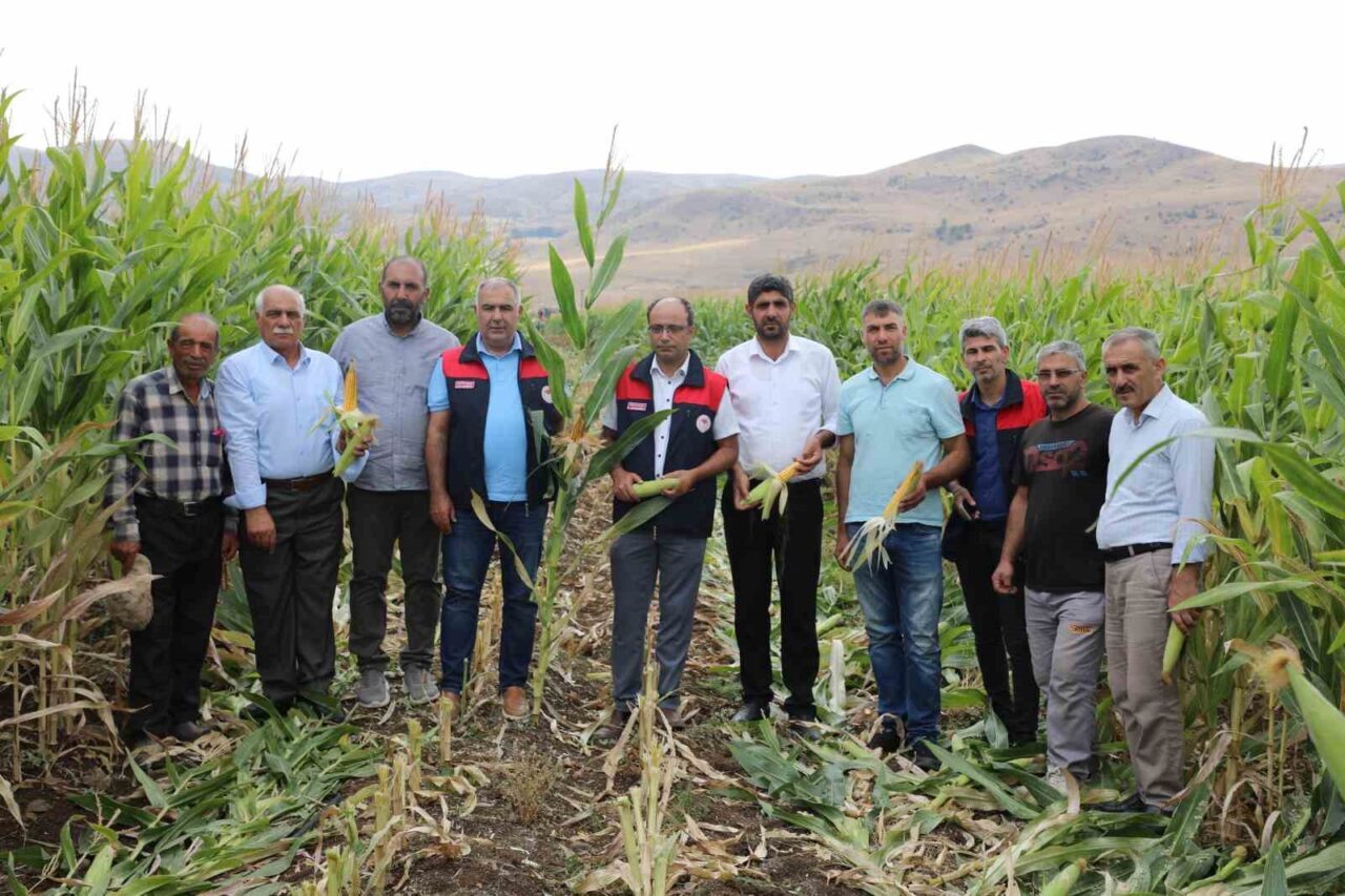 Elazığ’da 19 bin 520 dekar alanda 98 bin 430 ton