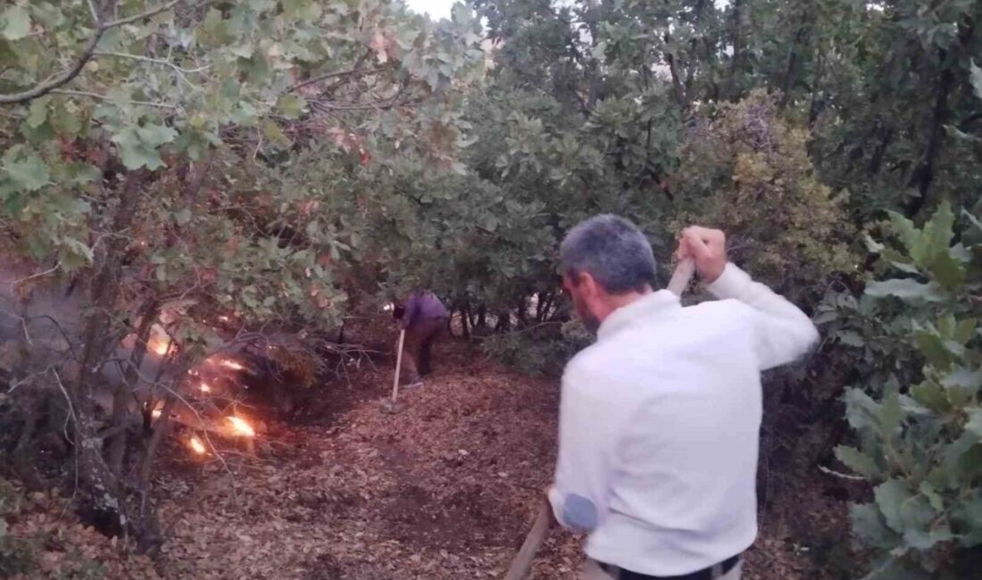 Elazığ’da ağaçlık alanda çıkan yangın, vatandaşların müdahalesiyle söndürüldü. Yangın, Elazığ’ın